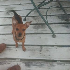 Meet your Posher, Brandy